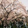 ひっそりと