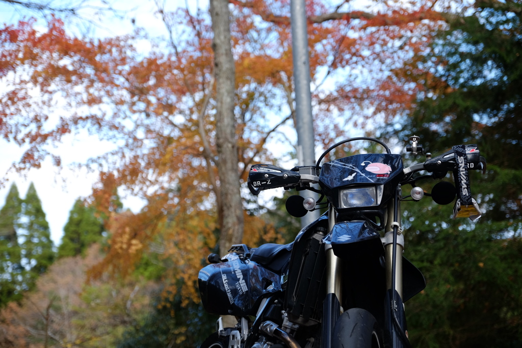 愛車と紅葉