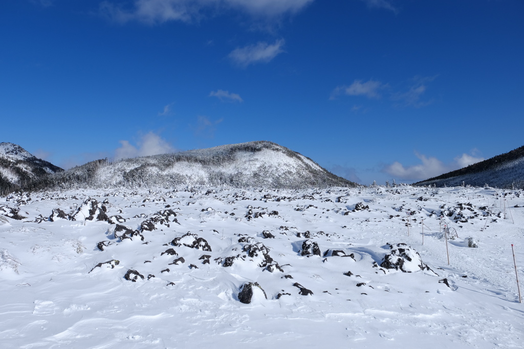 雪原