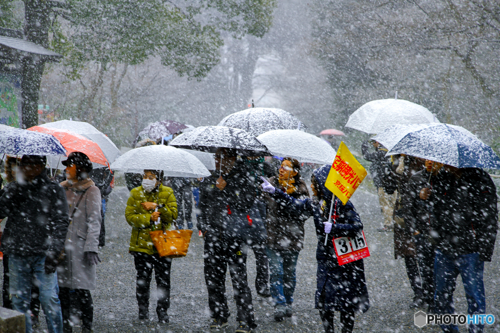 Tour Guide in Snow at Kinkaku-ji Gate