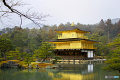 Kinkaku-Ji