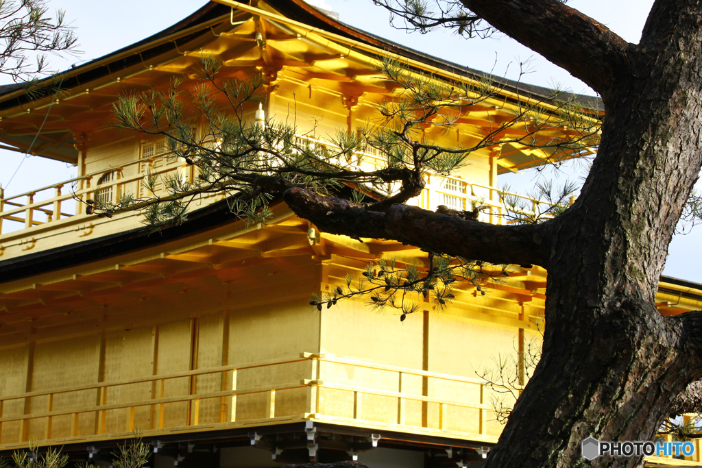 Kinkaku-ji from another angle