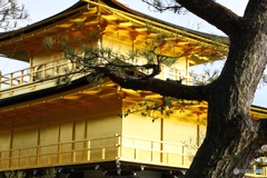 Kinkaku-ji from another angle
