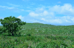 山口県　秋吉台