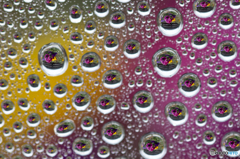 waterdrop＃3