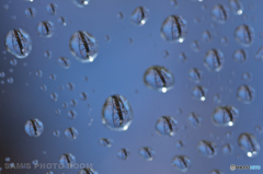 waterdrop＃6