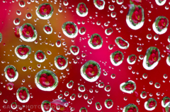 waterdrop＃10