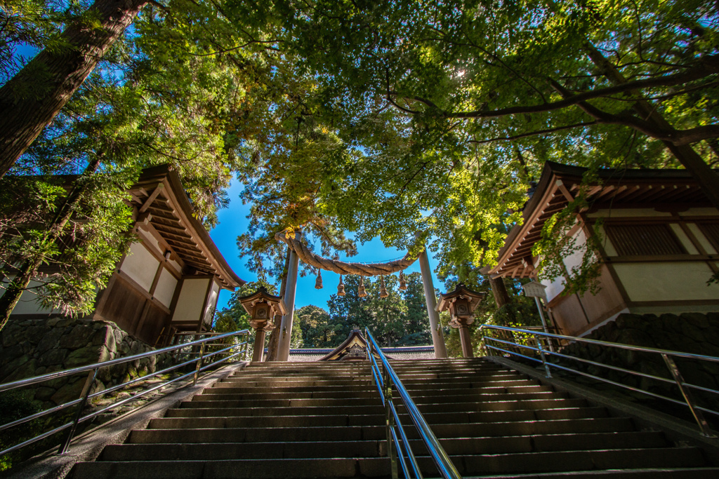 頂上へもう一息