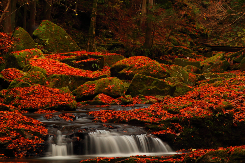 秋色の小さな滝