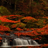 秋色の小さな滝