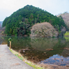 濡れ地蔵へ続く道