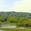 初夏の田園風景