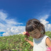 花摘み