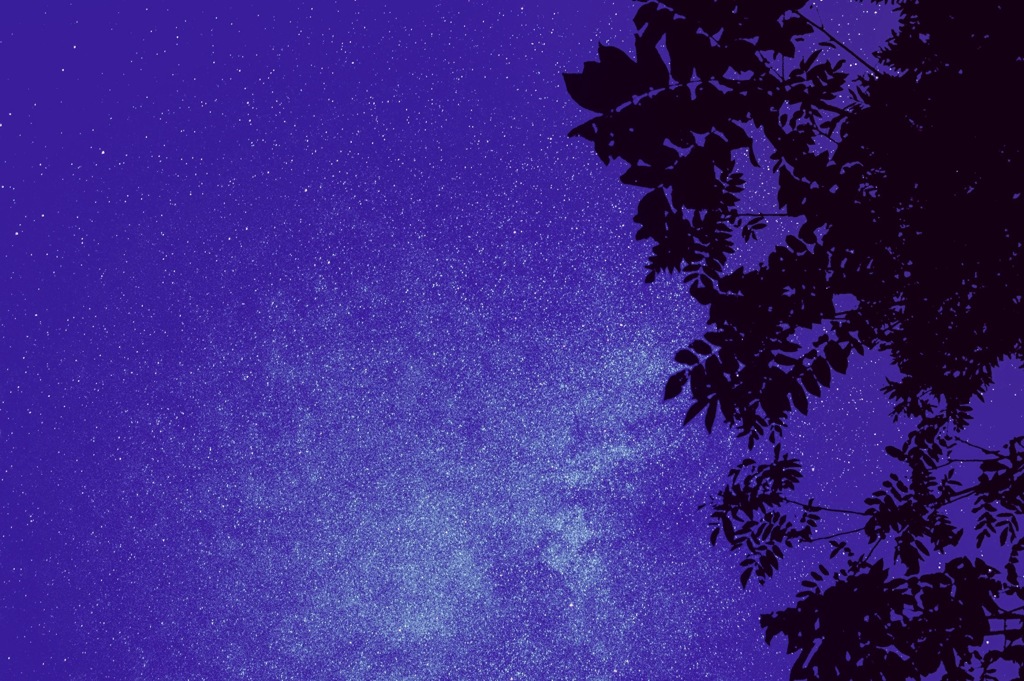 秋の夜空