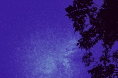 秋の夜空