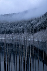 冬の自然湖