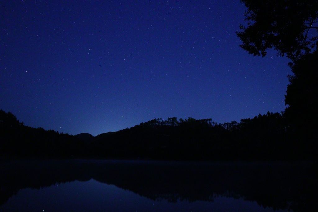 夜の池