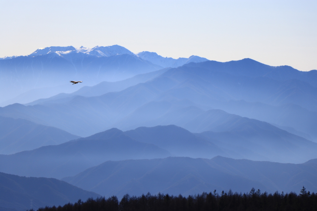 冬の空