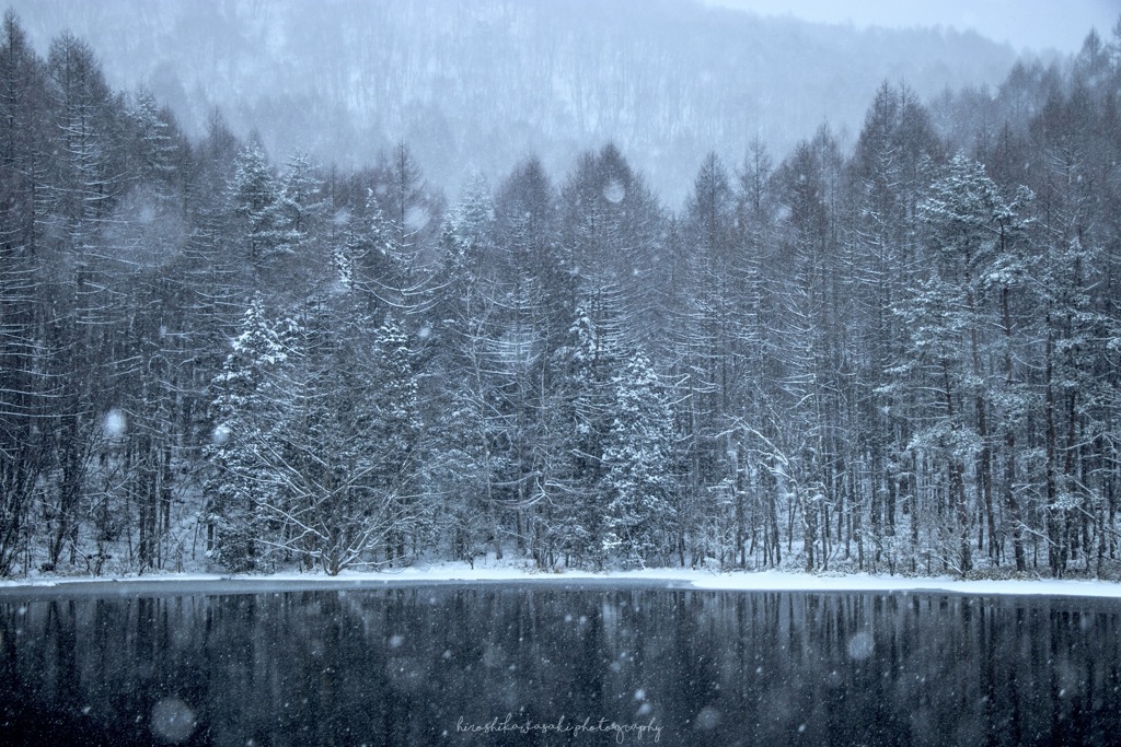大なごり雪