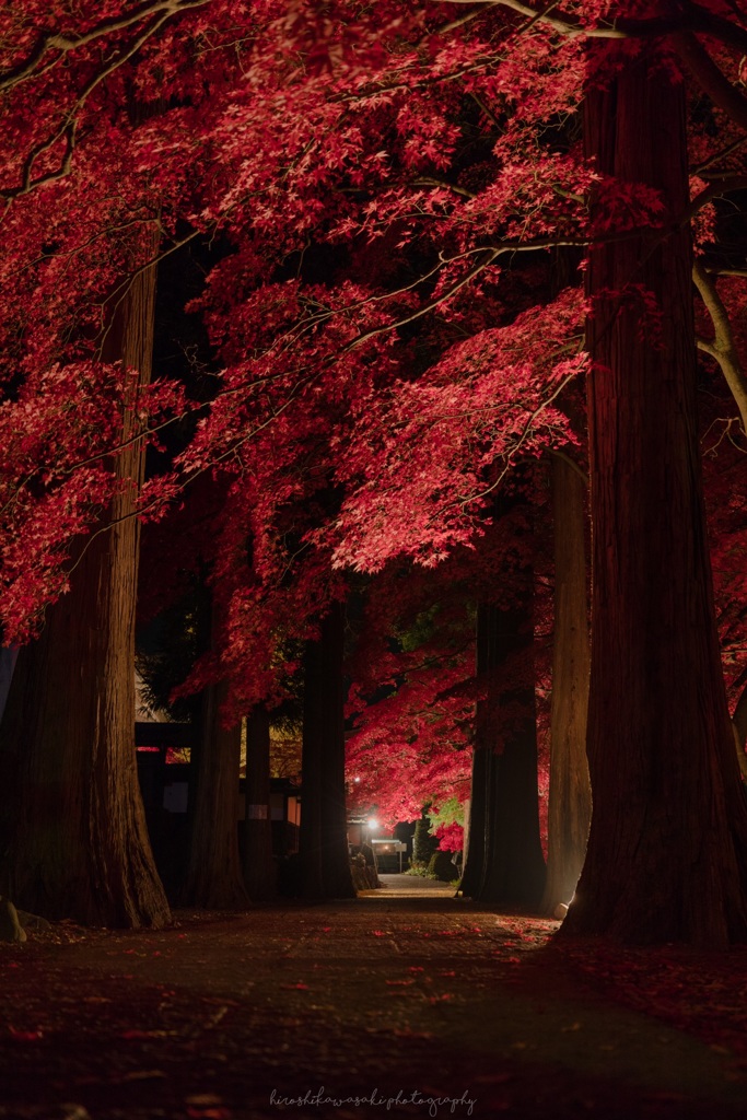 長円寺の紅葉