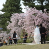 お幸せに