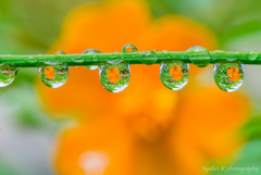 雨上り