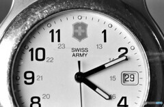 SWISS ARMY