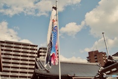 風力０