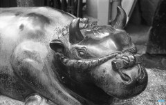 撫で牛　天満宮