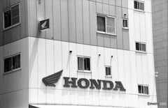 WING HONDA