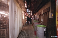 ウナギ族