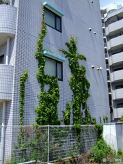 触手を伸ばす