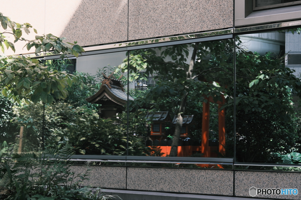 鏡像反転　EL NIKKOR 50mmF2.8(N)