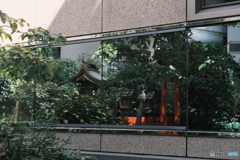 鏡像反転　EL NIKKOR 50mmF2.8(N)