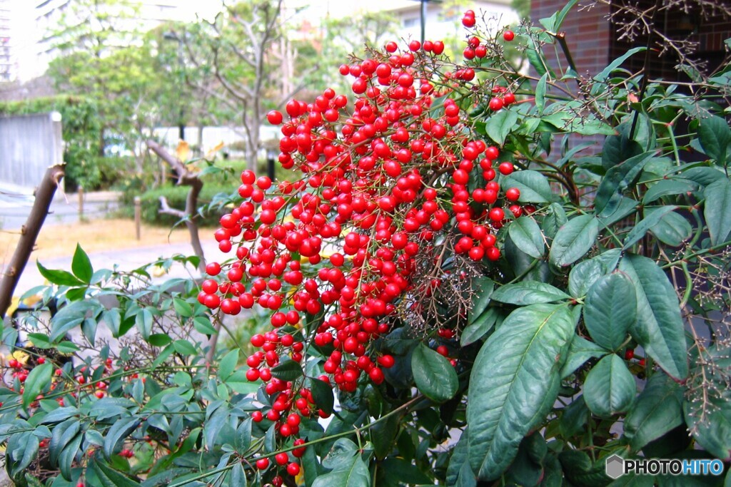 ２０２１年元旦