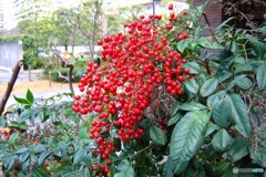 ２０２１年元旦