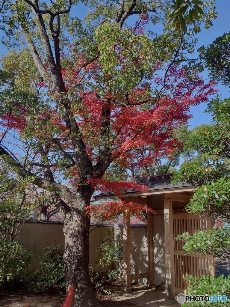 藤田邸跡公園