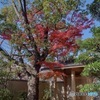 藤田邸跡公園