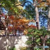 藤田邸跡公園