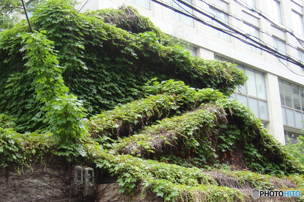 2022年5月17日