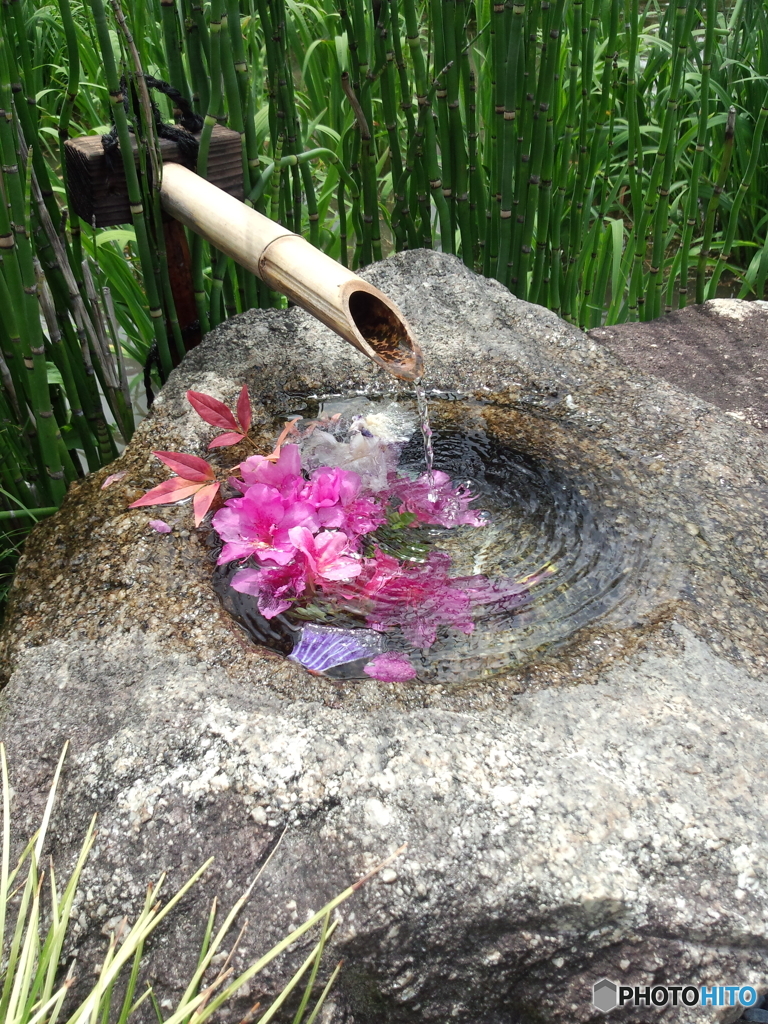 菖蒲園　ガラケーその参