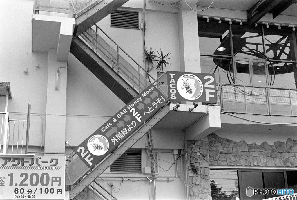 ハネムーン