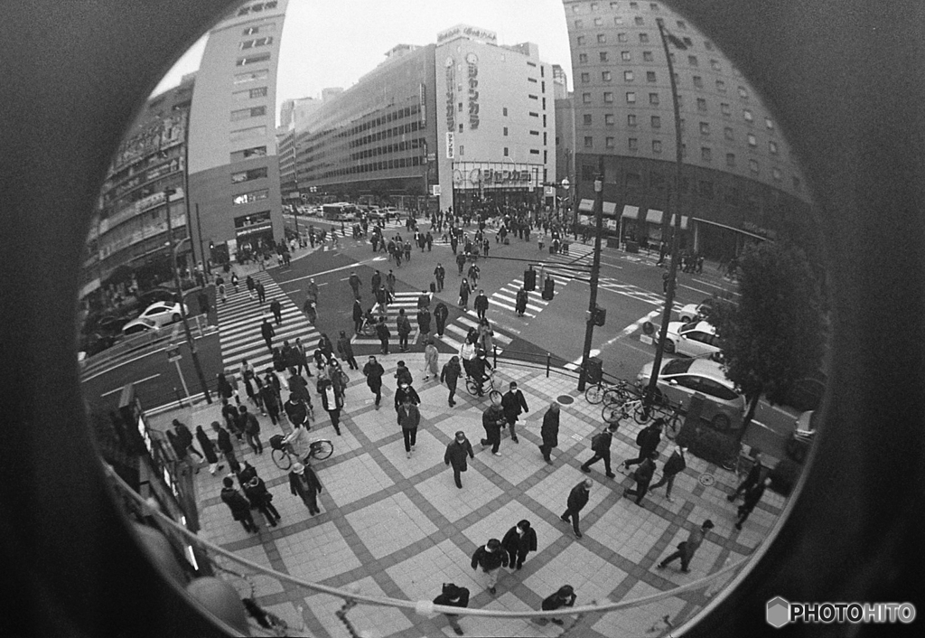 横断歩道俯瞰