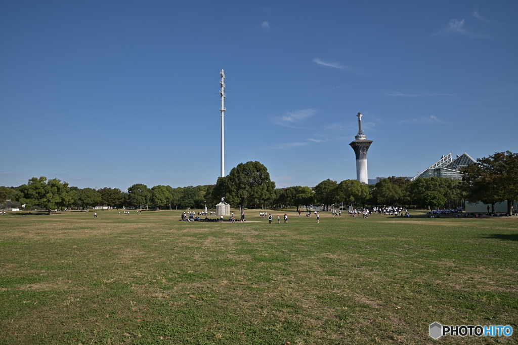 緑の広場