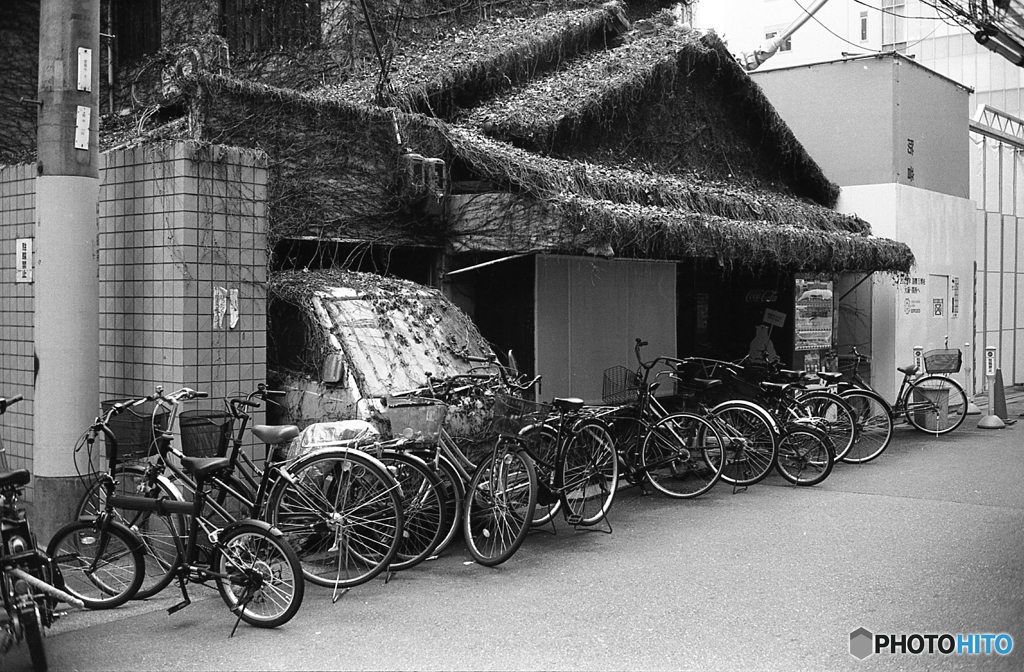正々堂々　冬