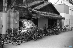 正々堂々　冬