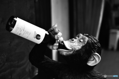 また、飲んでるな！