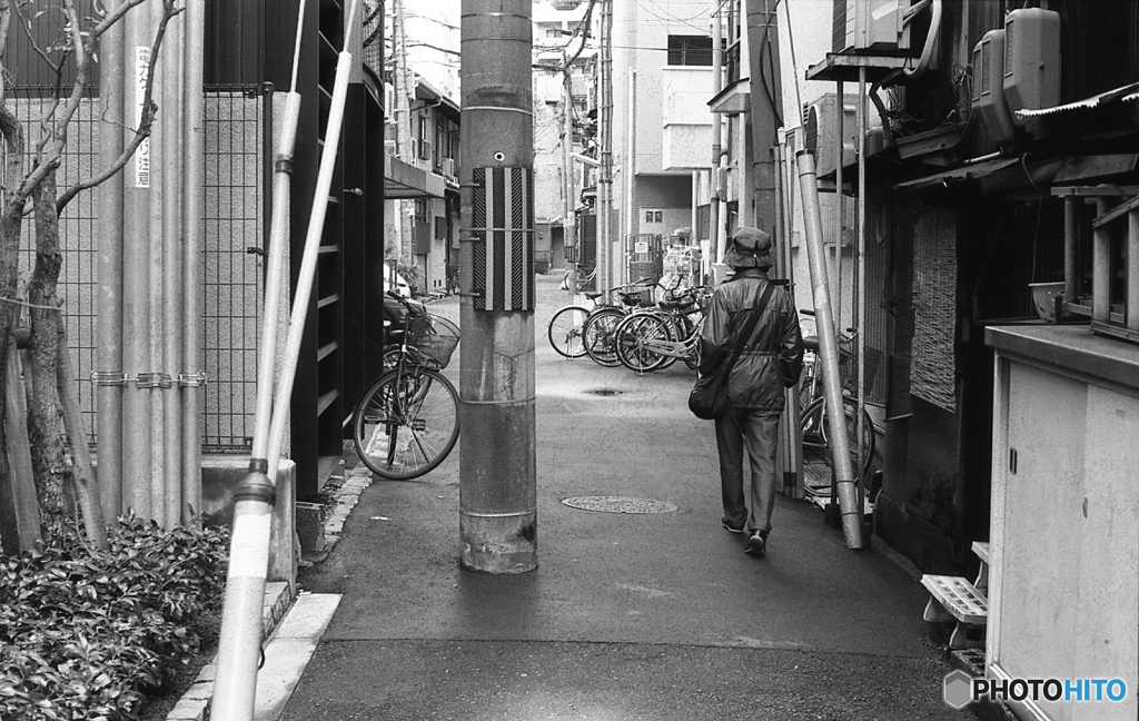 路地裏の電柱