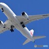 JA848J (BOEING 787)