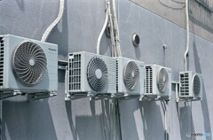 シーズン真っ盛り